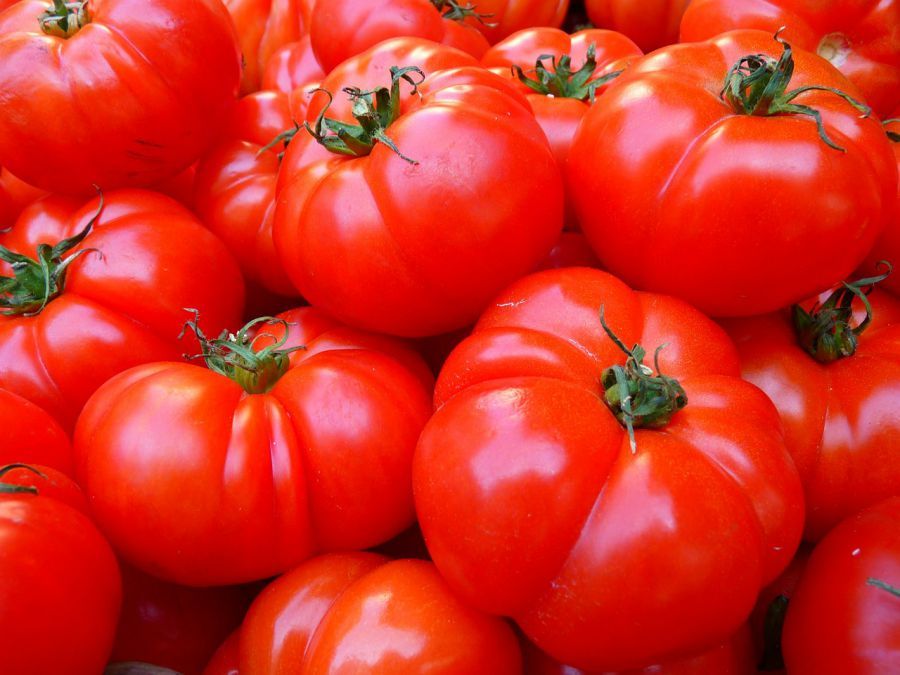 Большая часть астраханских овощей выращена из импортных семян