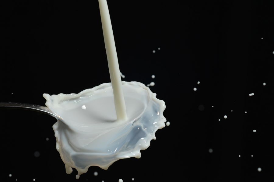 В Астрахани продавалось молоко несуществующих производителей