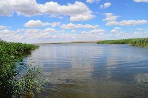 В Астраханской области женщина хотела переплыть реку, но произошла трагедия