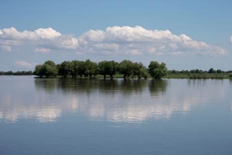 Вода в Астрахани начнет спадать на выходных