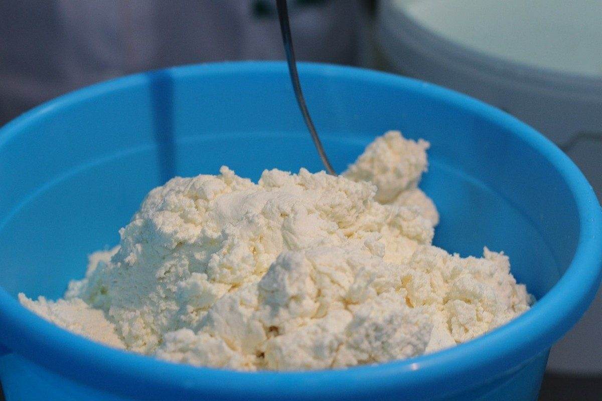 Астраханские предприятия стали производить больше молочной продукции