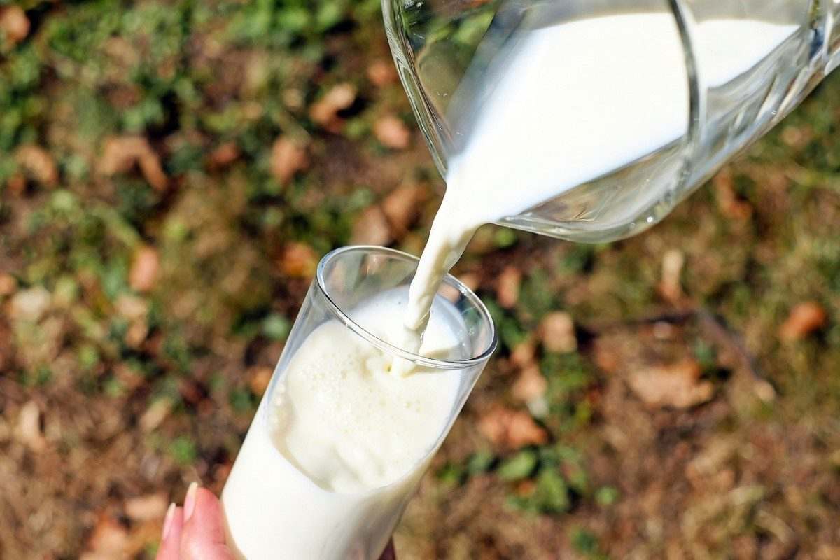 Зараженное ящуром молоко в Астраханскую область не попало