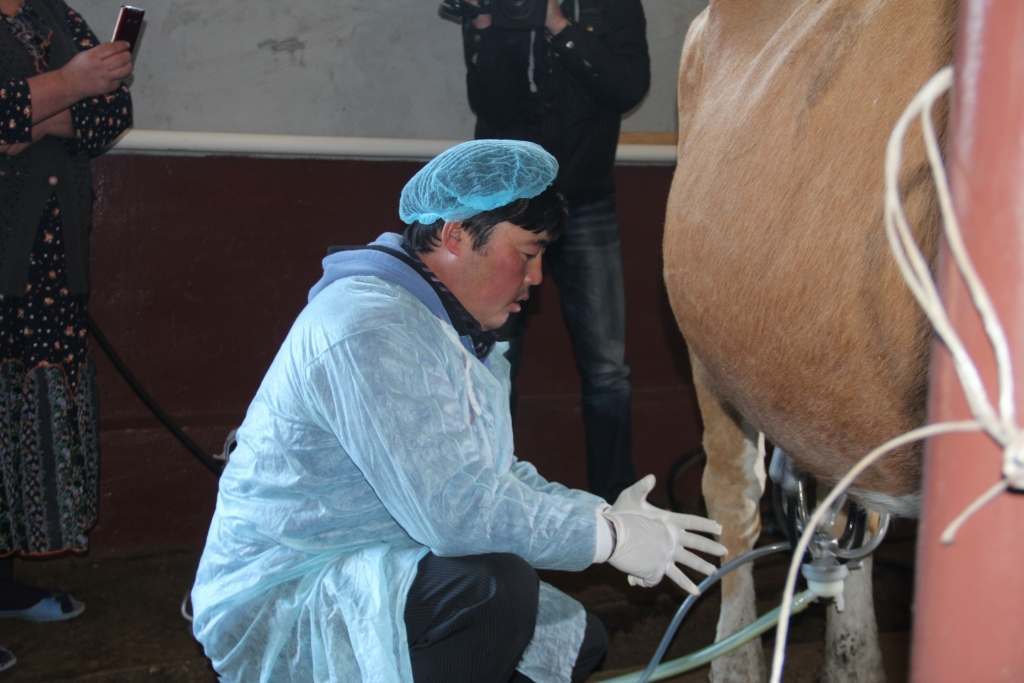 В Астраханской области ищут качественное молоко