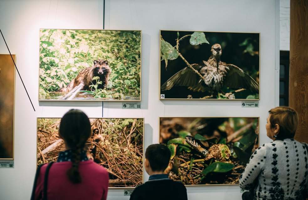 В кремле открылась фотовыставка астраханской природы