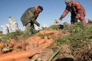 Астраханская область активно отправляет свои продукты в другие страны