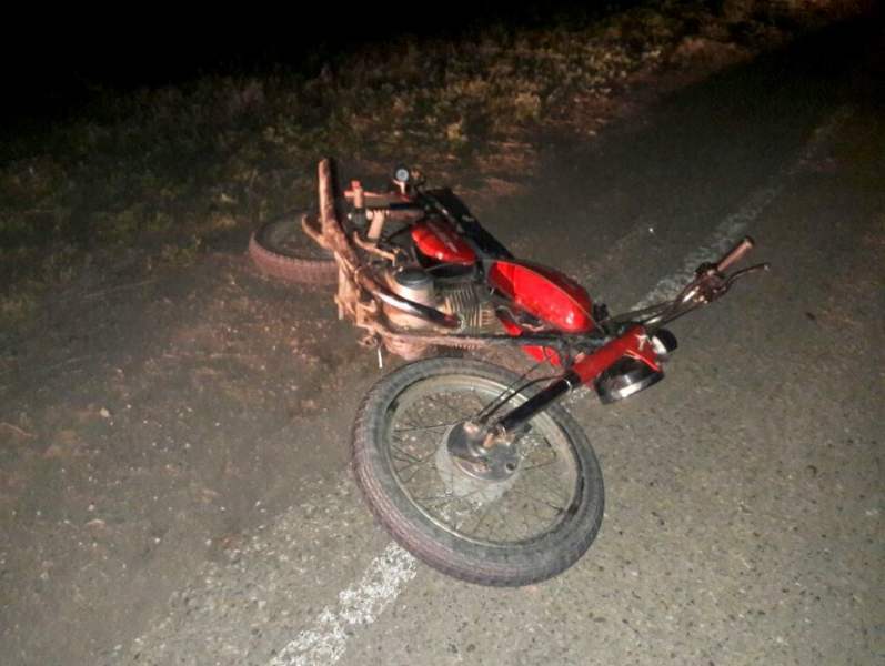 Под Астраханью мотоциклист сбил теленка и попал в больницу
