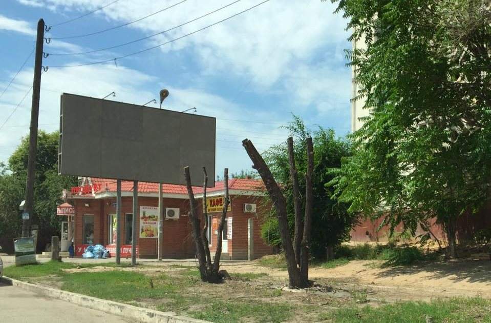 Астраханских рекламщиков обвинили в опиливании деревьев