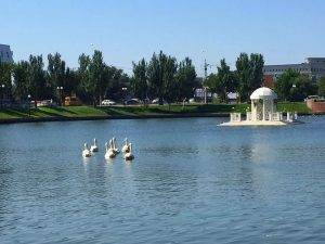 Астраханские школьники изучили состав и качество воды Лебединого озера