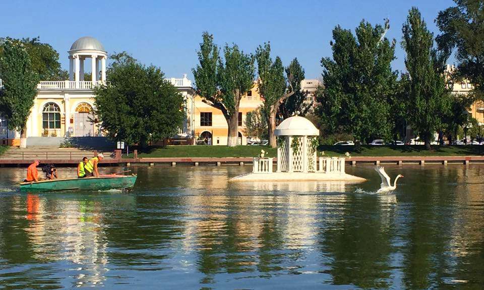 Из Лебединого озера в Астрахани вывезли лебедей