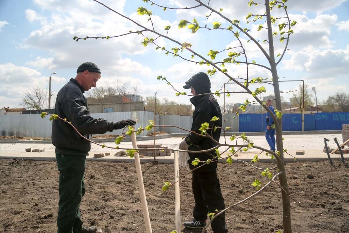 В Астрахани вновь высадили деревья на «Аллее семьи»