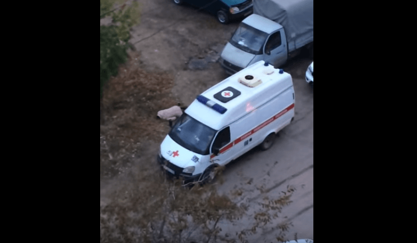 Видео: в Астрахани женщина лежит возле скорой помощи