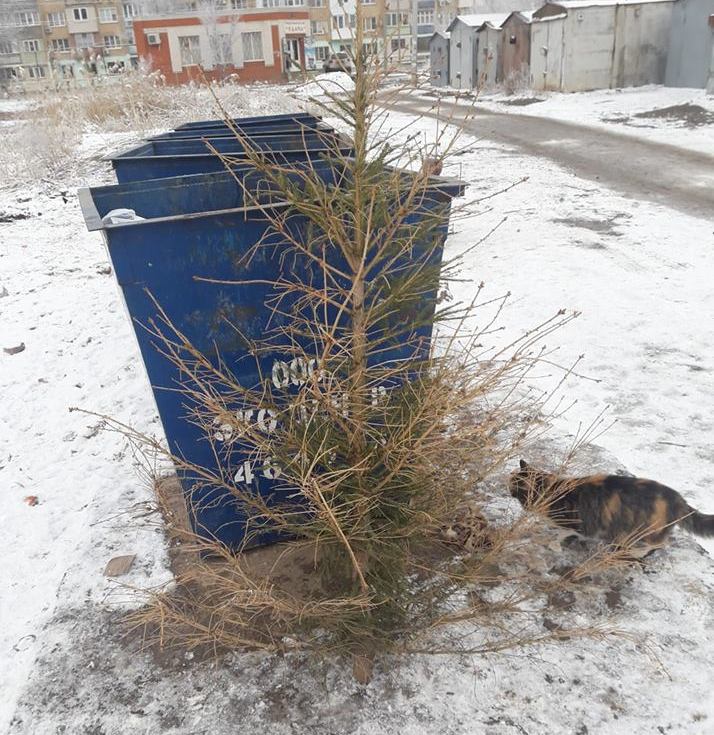 Фото дня: уже лысая елка на помойке в Астрахани