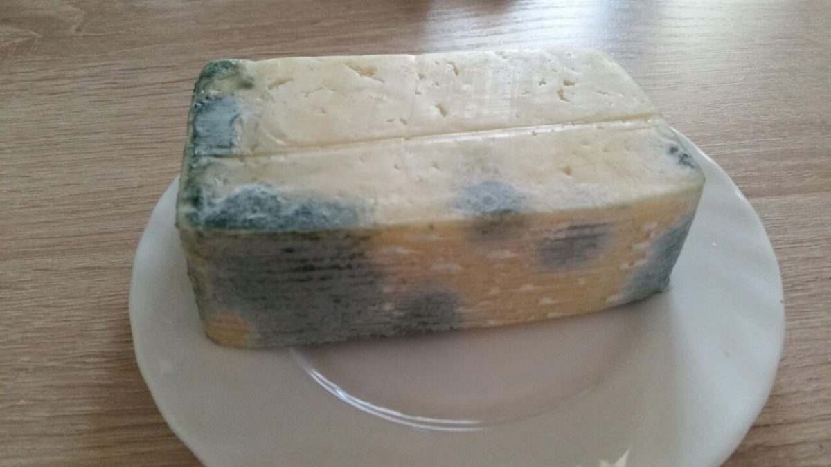 В астраханском супермаркете продали зеленый от плесени сыр