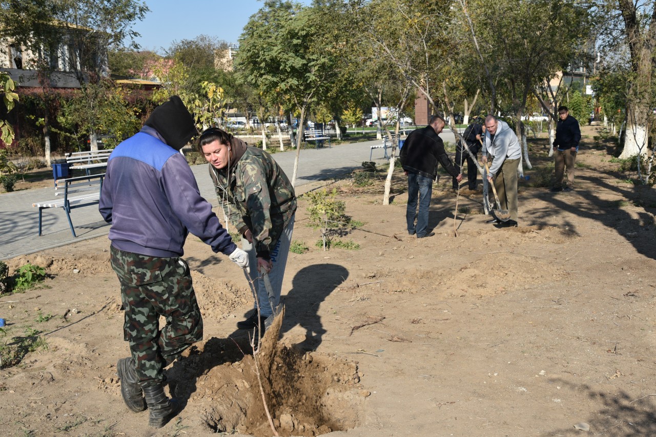 Зеленый город астрахань