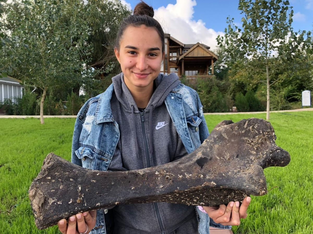 В Астраханской области продолжают находить кости мамонтов