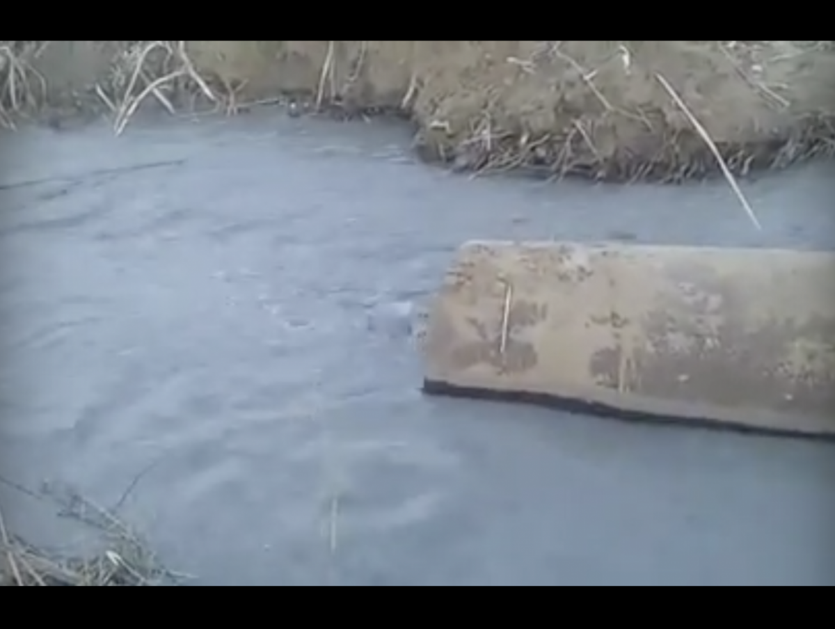 Астраханец снял на видео сброс нечистот в Волгу