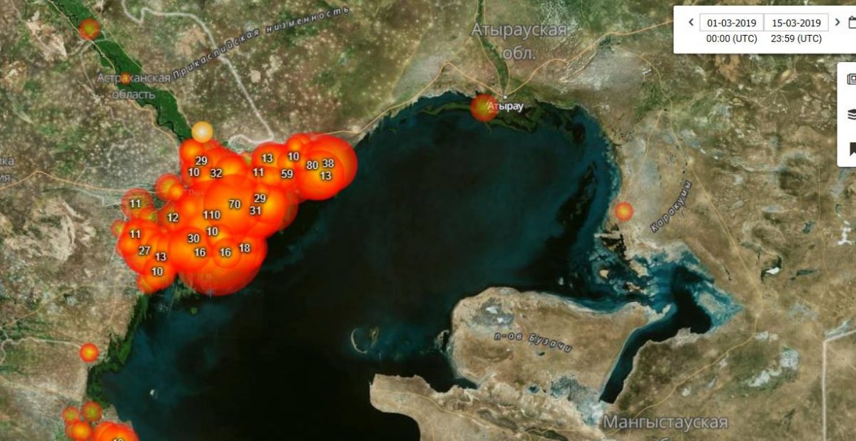 Пожары в дельте Волги в 2018 году и сейчас. Шокирующие спутниковые снимки