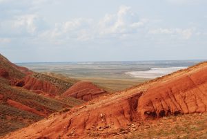 В Астраханской области нашли останки уникальных животных, они дали жизнь остальным