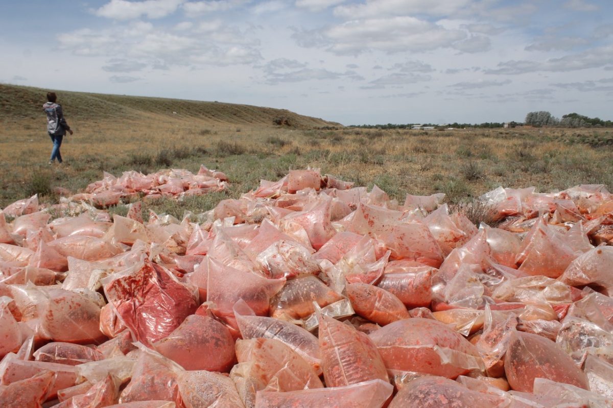 Обнаружено поле с пакетами томатной пасты в Астраханской области