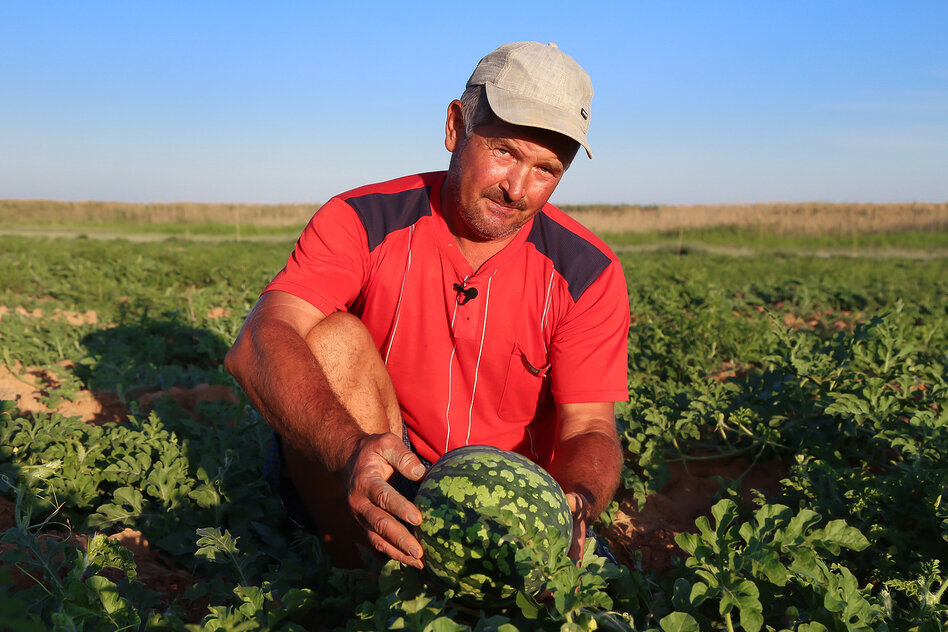 Правительство выделяет на поддержку астраханских фермеров 283 млн рублей