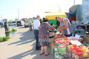 Вот это изменения: в Астраханской области на овощи установили новые цены