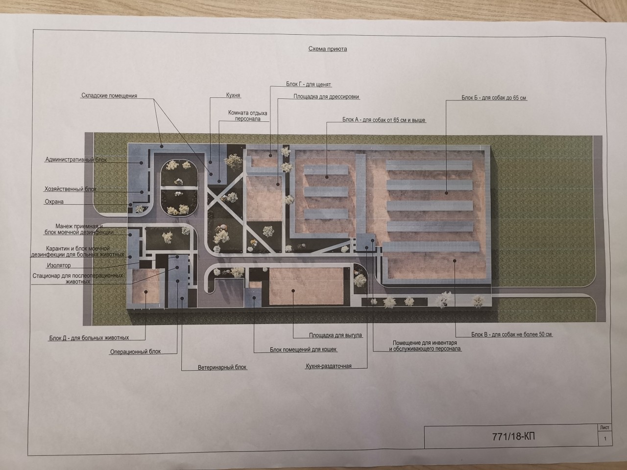 Бизнес план кинологического центра с расчетами