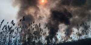 В Астраханском биосферном заповеднике второй день тушат огромный пожар