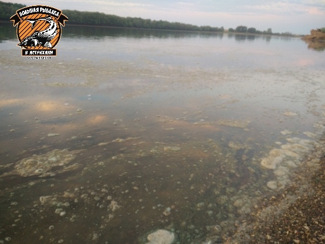 Астраханцы сообщают о загрязнении реки щелочью