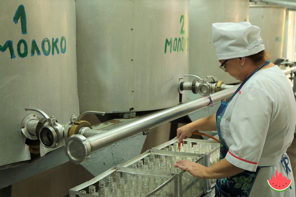 Астраханская область испытывает значительный дефицит молока