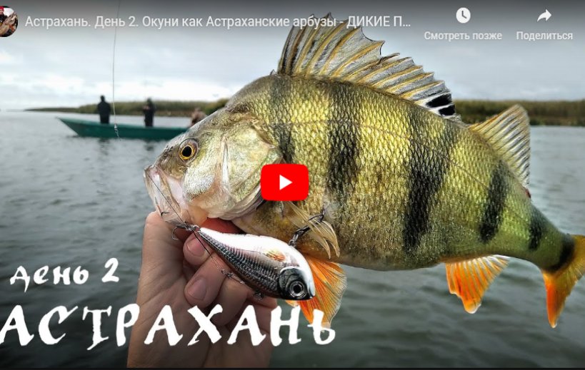 Блогер-рыбак в восторге от клева в Астраханской области. Видео