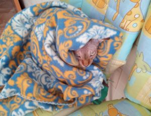 Жителям крупного города под Астраханью сделали перерасчет за отопление на 5 миллионов