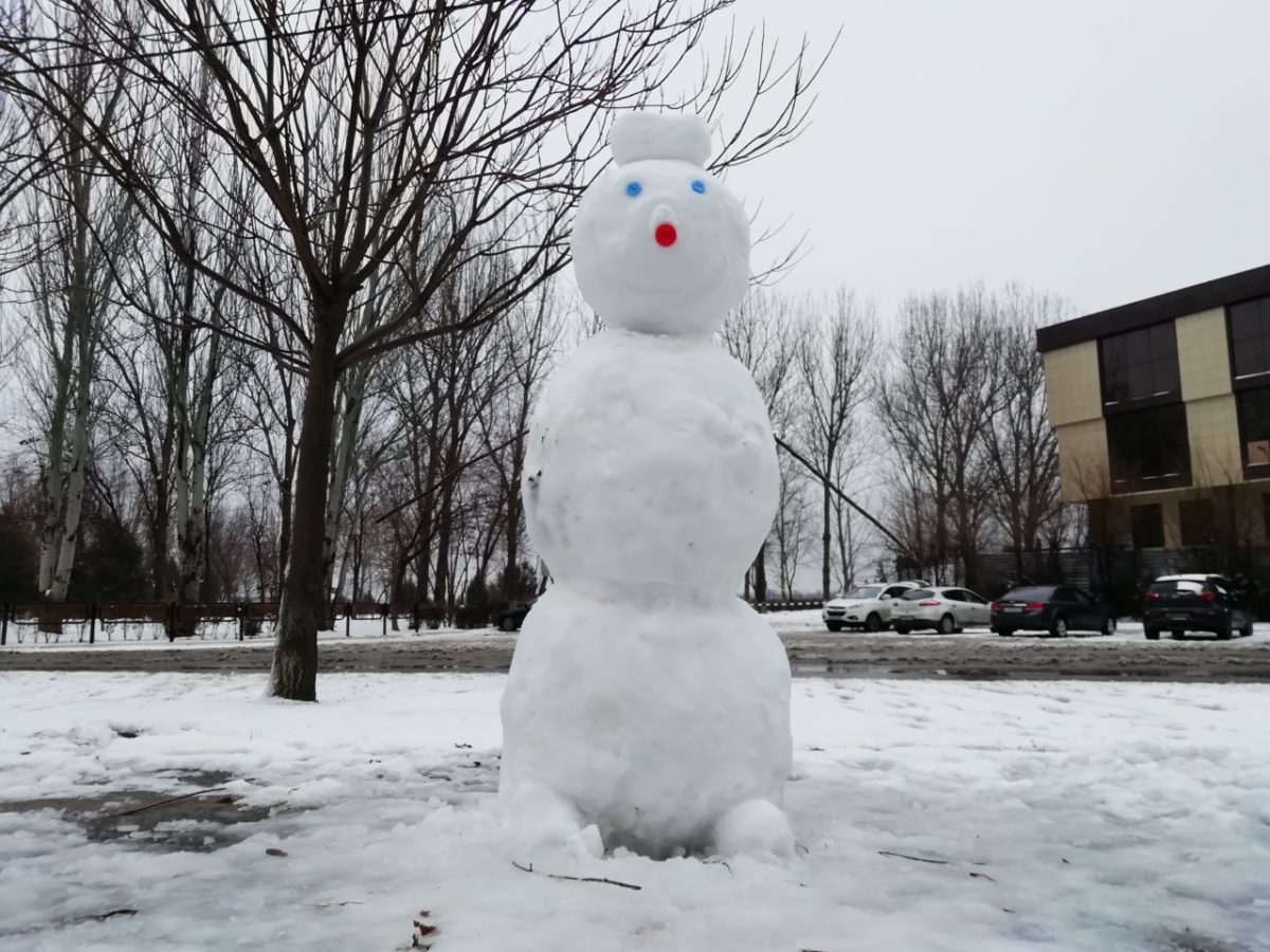Астрахань накрыло поздним снегом впервые с 2010 года