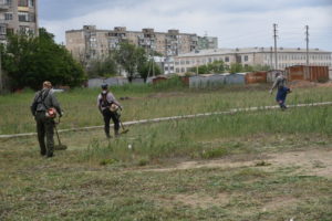 В Астраханской области владельцы заброшенных участков могут лишиться земли