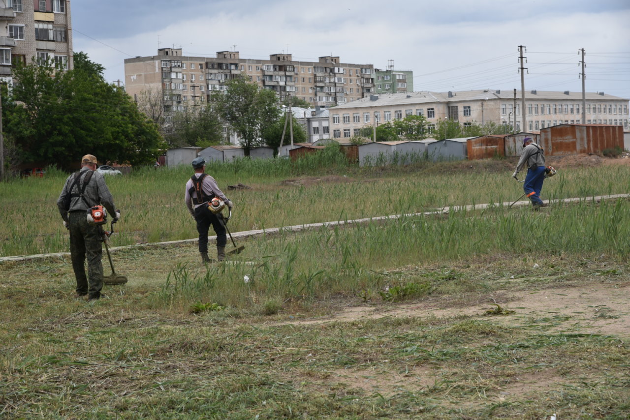 В Астрахани уничтожили траву, которая занимала площадь 140 футбольных полей  | АРБУЗ