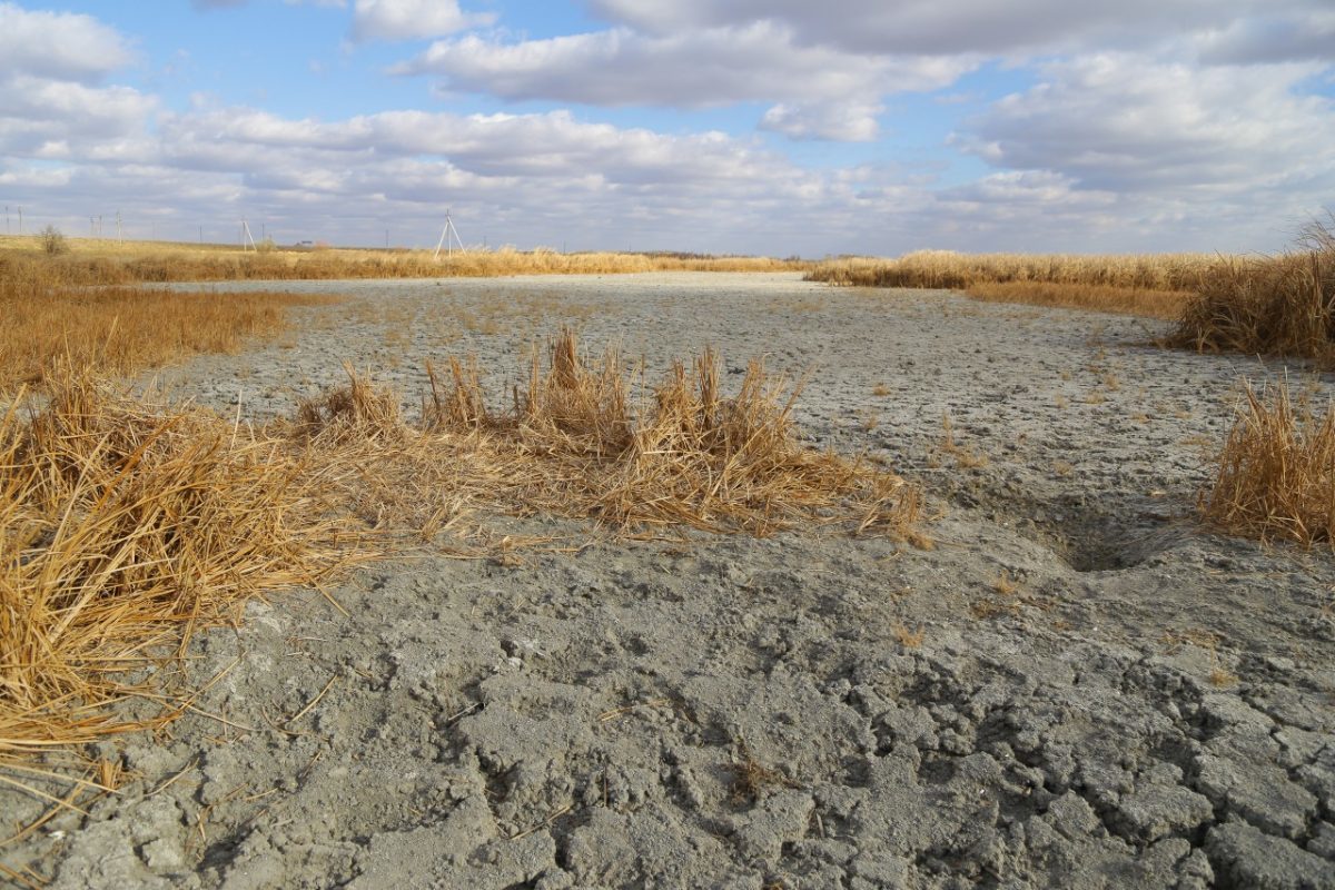 Эксперты прогнозируют возможную засуху в Астраханской области