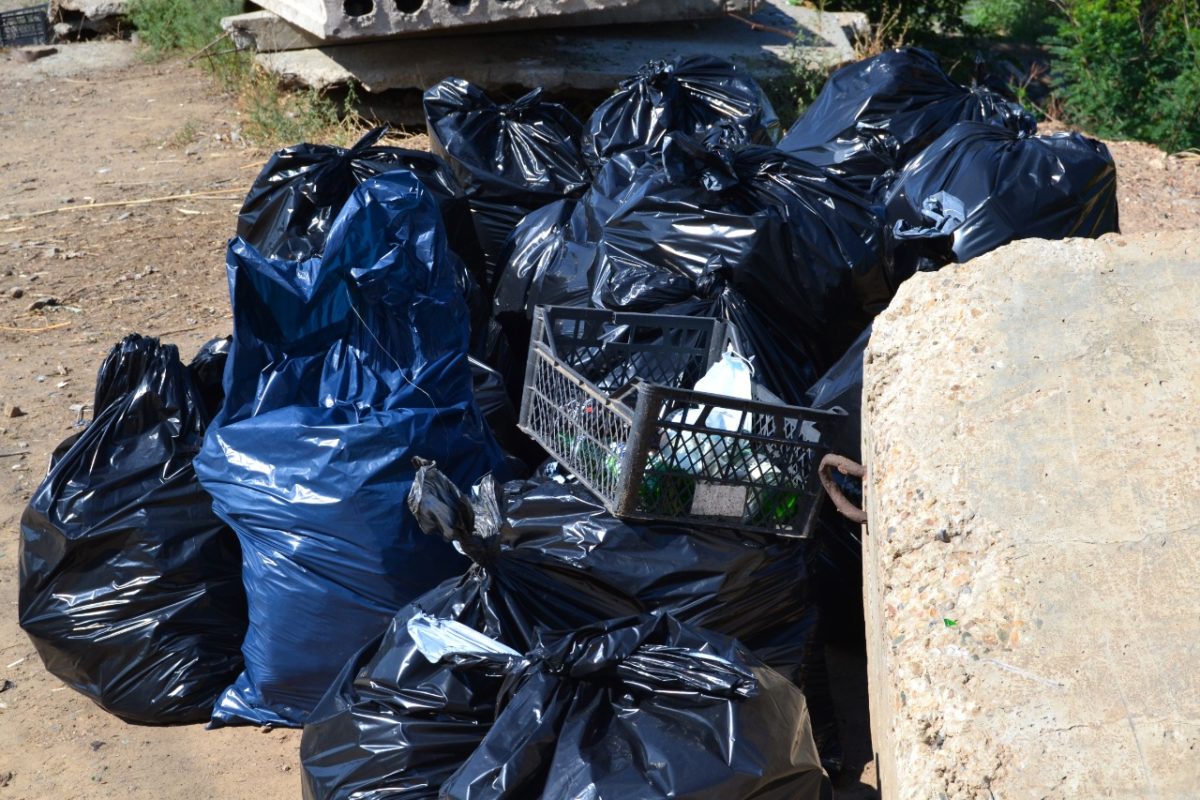 С астраханских берегов вывезли 24 мешка с мусором