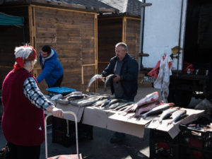 Стало известно, где в Астрахани будут продавать много рыбы в честь осенней путины