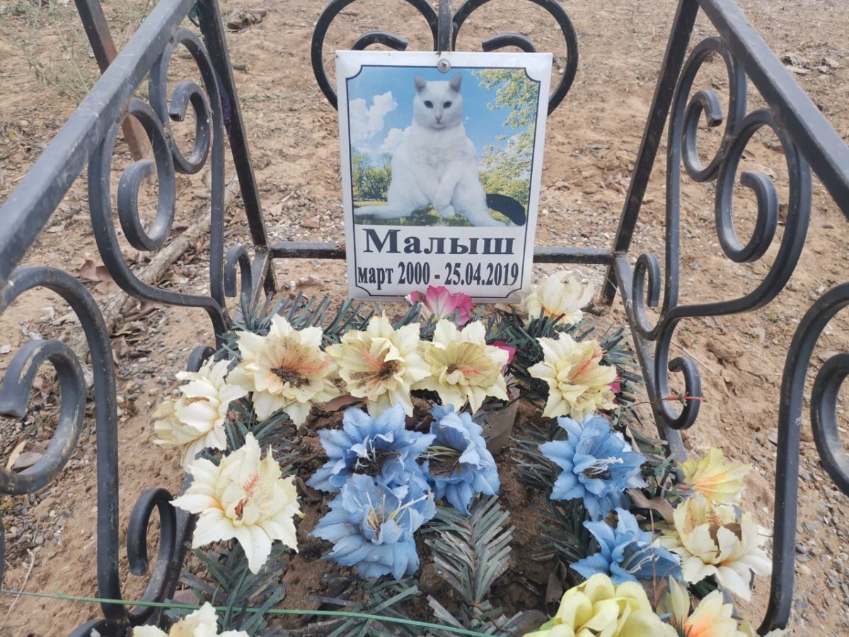 В Астрахани несколько лет действует неофициальное кладбище домашних животных
