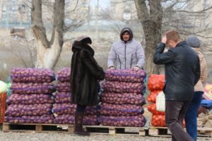 Астраханская область лидирует по выращиванию важнейшего продукта