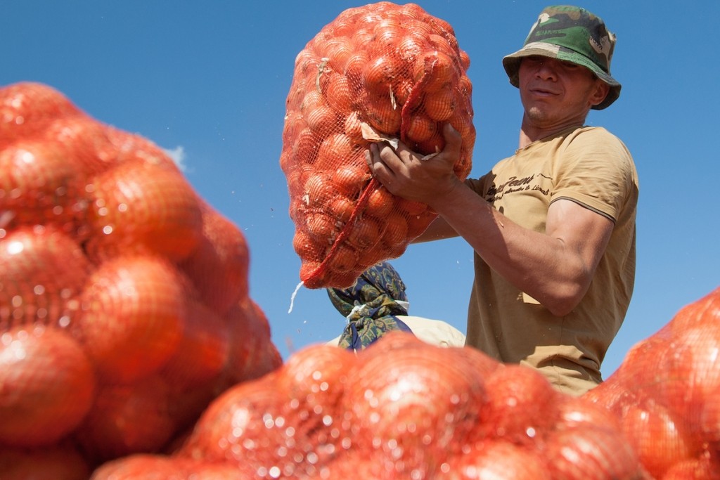 Астраханская область будет обеспечивать продовольственную безопасность страны