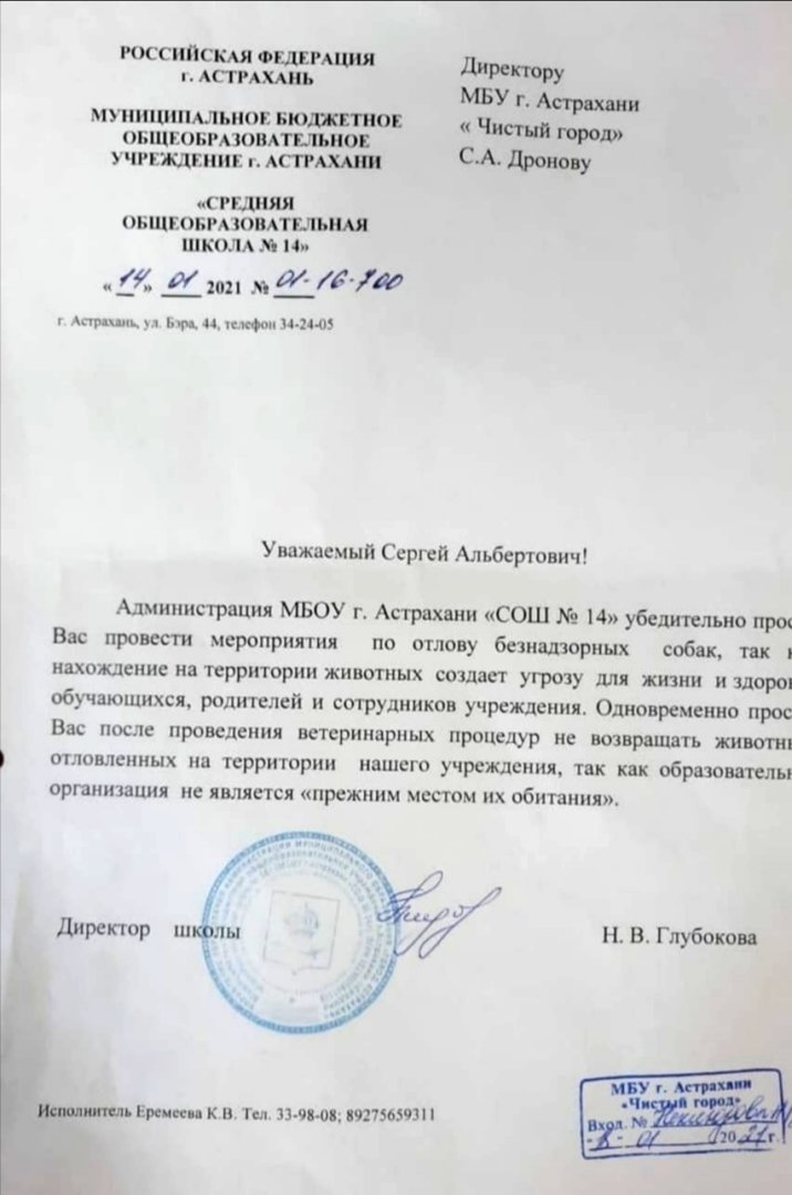 Астраханские учителя просят убрать собак с территории школы