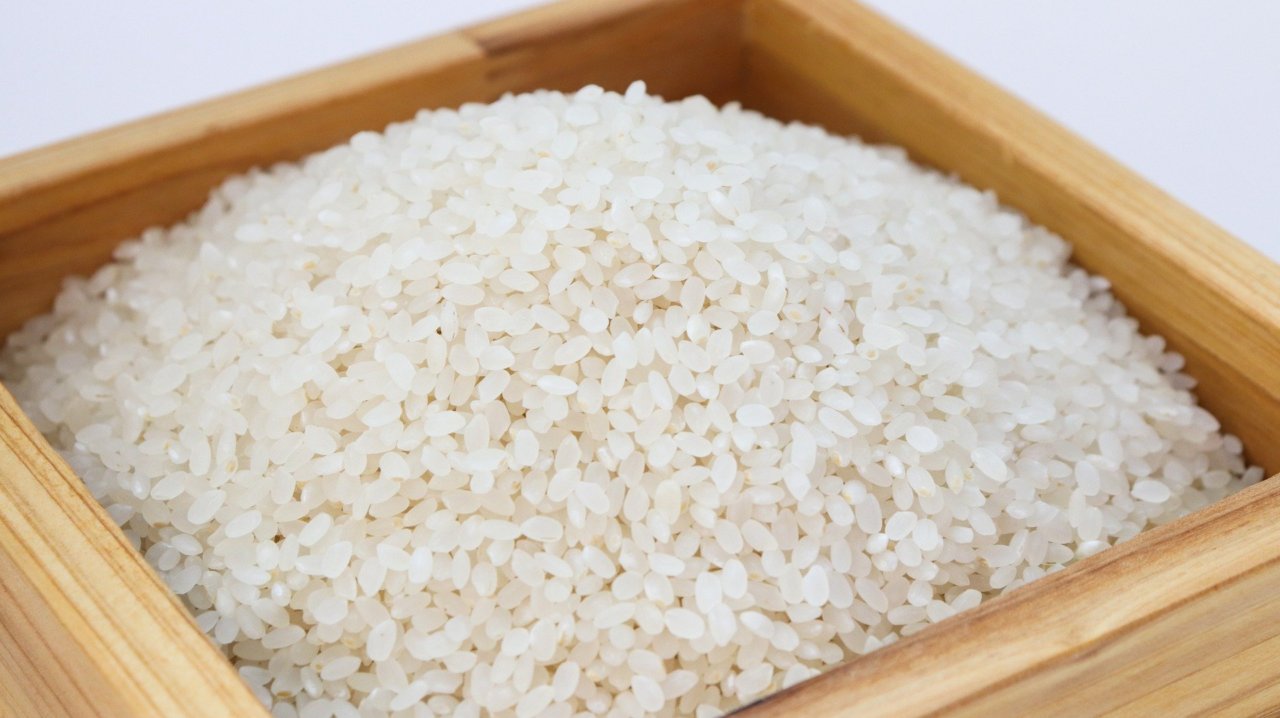 В Астраханской области будут выращивать больше риса