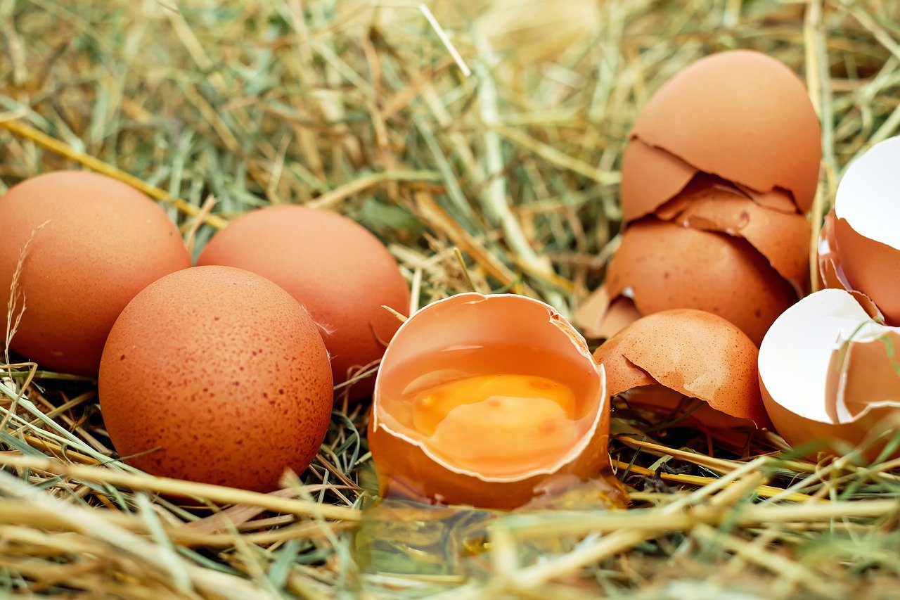 В Астрахани дети обстреляли яйцами прохожих