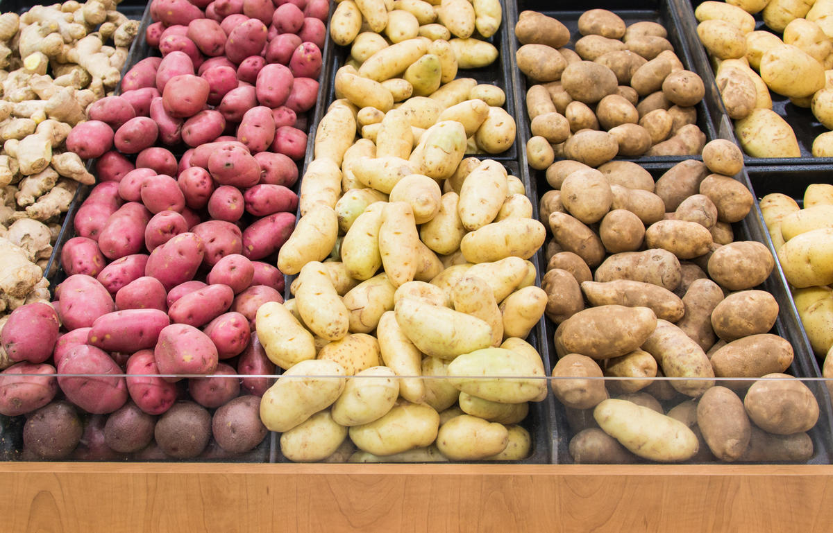 Астраханские фермеры представили сразу 48 сортов картофеля