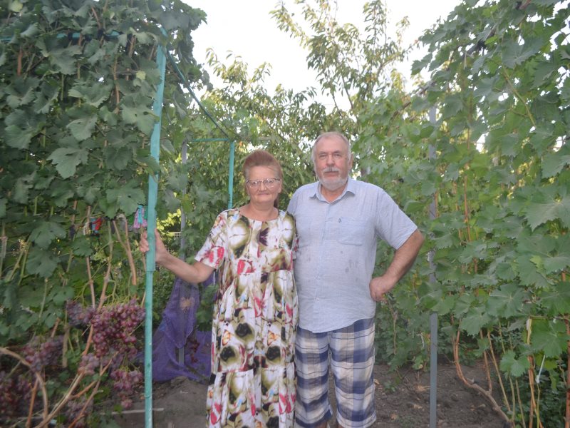 Семья военных из Камызяка устроила у себя во дворе виноградный рай