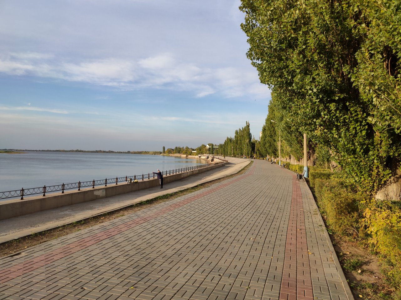Массовую вырубку тополей на Комсомольской набережной обещают заменить точечной