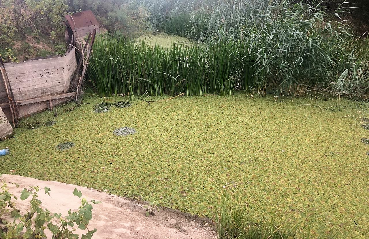 Жители села Зюзино много лет мучаются от грязной воды