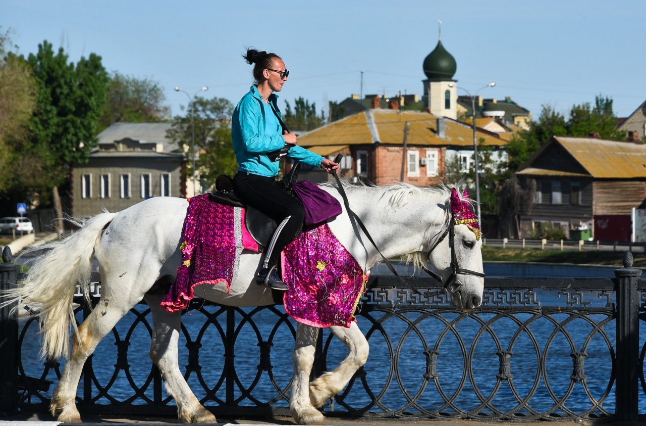 Мария Пермякова предложила перенести катание на лошадях из центра Астрахани