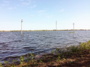 Усиленный сброс воды с Волжской ГЭС продлен до 30 мая