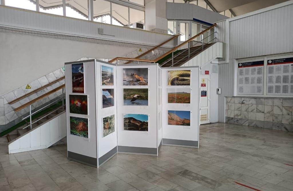 Фотовыставка «Заповедный мир» представлена на железнодорожном вокзале Астрахани